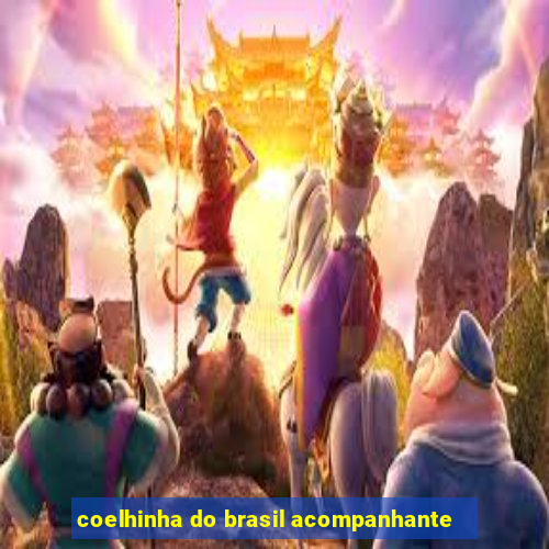 coelhinha do brasil acompanhante